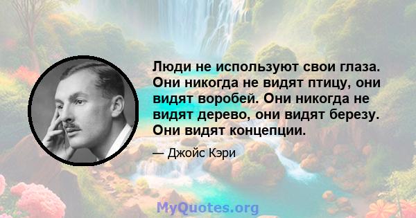 Люди не используют свои глаза. Они никогда не видят птицу, они видят воробей. Они никогда не видят дерево, они видят березу. Они видят концепции.