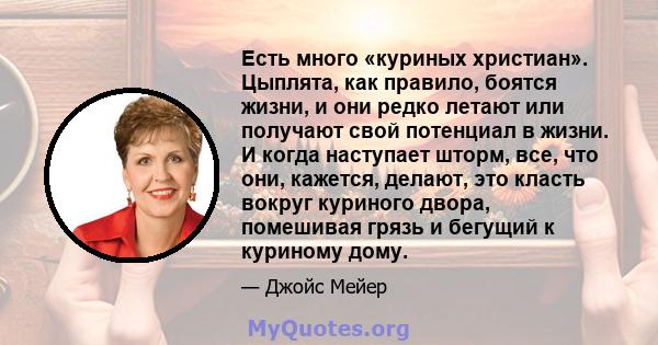 Есть много «куриных христиан». Цыплята, как правило, боятся жизни, и они редко летают или получают свой потенциал в жизни. И когда наступает шторм, все, что они, кажется, делают, это класть вокруг куриного двора,