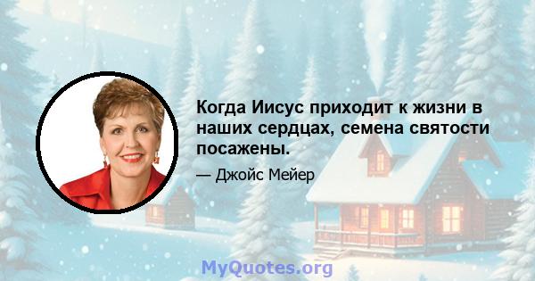 Когда Иисус приходит к жизни в наших сердцах, семена святости посажены.