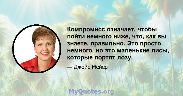 Компромисс означает, чтобы пойти немного ниже, что, как вы знаете, правильно. Это просто немного, но это маленькие лисы, которые портят лозу.