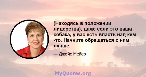 (Находясь в положении лидерства), даже если это ваша собака, у вас есть власть над кем -то. Начните обращаться с ним лучше.