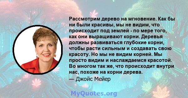 Рассмотрим дерево на мгновение. Как бы ни были красивы, мы не видим, что происходит под землей - по мере того, как они выращивают корни. Деревья должны развиваться глубокие корни, чтобы расти сильным и создавать свою