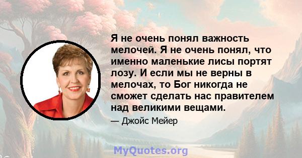 Я не очень понял важность мелочей. Я не очень понял, что именно маленькие лисы портят лозу. И если мы не верны в мелочах, то Бог никогда не сможет сделать нас правителем над великими вещами.