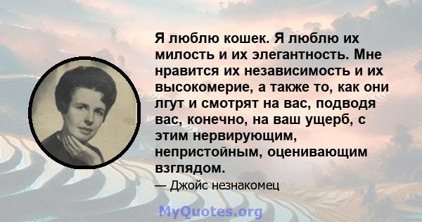 Я люблю кошек. Я люблю их милость и их элегантность. Мне нравится их независимость и их высокомерие, а также то, как они лгут и смотрят на вас, подводя вас, конечно, на ваш ущерб, с этим нервирующим, непристойным,