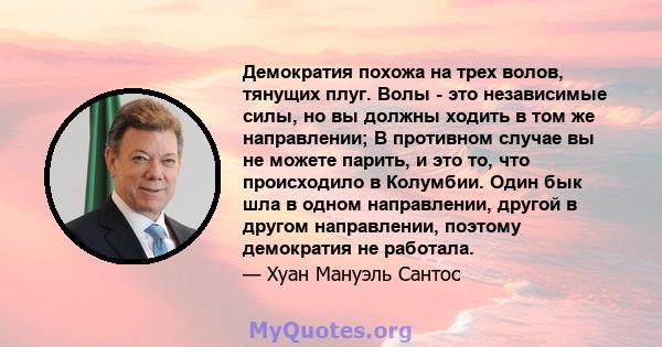 Демократия похожа на трех волов, тянущих плуг. Волы - это независимые силы, но вы должны ходить в том же направлении; В противном случае вы не можете парить, и это то, что происходило в Колумбии. Один бык шла в одном