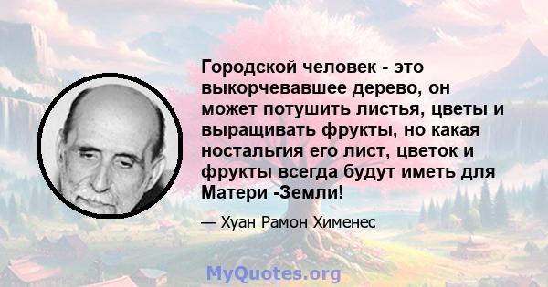 Городской человек - это выкорчевавшее дерево, он может потушить листья, цветы и выращивать фрукты, но какая ностальгия его лист, цветок и фрукты всегда будут иметь для Матери -Земли!