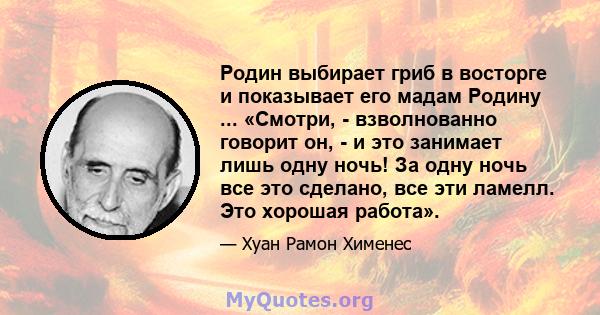 Родин выбирает гриб в восторге и показывает его мадам Родину ... «Смотри, - взволнованно говорит он, - и это занимает лишь одну ночь! За одну ночь все это сделано, все эти ламелл. Это хорошая работа».