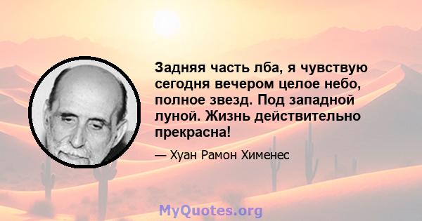 Задняя часть лба, я чувствую сегодня вечером целое небо, полное звезд. Под западной луной. Жизнь действительно прекрасна!