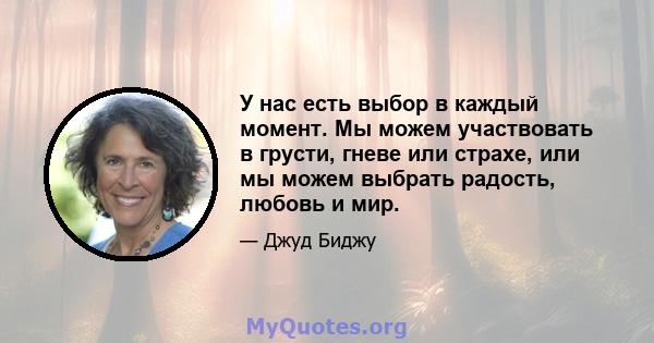 У нас есть выбор в каждый момент. Мы можем участвовать в грусти, гневе или страхе, или мы можем выбрать радость, любовь и мир.