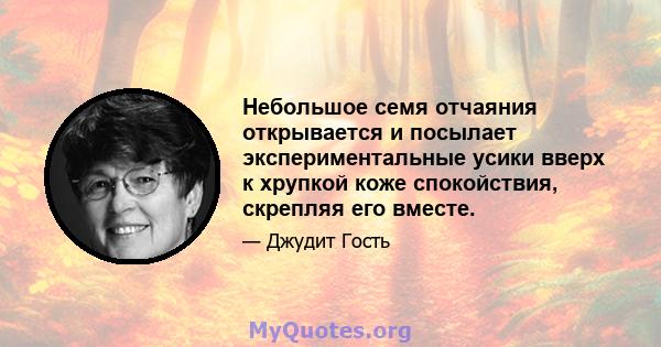 Небольшое семя отчаяния открывается и посылает экспериментальные усики вверх к хрупкой коже спокойствия, скрепляя его вместе.