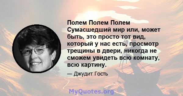 Полем Полем Полем Сумасшедший мир или, может быть, это просто тот вид, который у нас есть, просмотр трещины в двери, никогда не сможем увидеть всю комнату, всю картину.