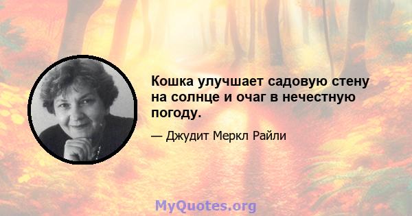 Кошка улучшает садовую стену на солнце и очаг в нечестную погоду.