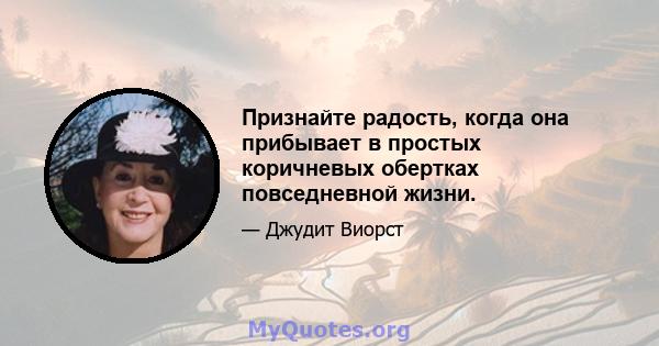 Признайте радость, когда она прибывает в простых коричневых обертках повседневной жизни.