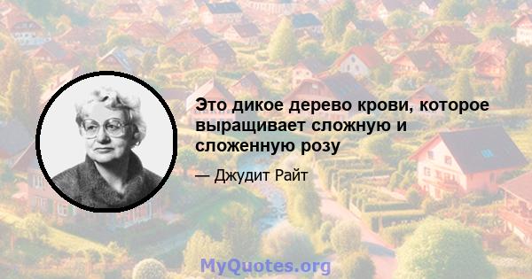 Это дикое дерево крови, которое выращивает сложную и сложенную розу