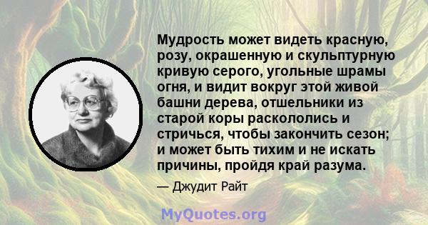 Мудрость может видеть красную, розу, окрашенную и скульптурную кривую серого, угольные шрамы огня, и видит вокруг этой живой башни дерева, отшельники из старой коры раскололись и стричься, чтобы закончить сезон; и может 