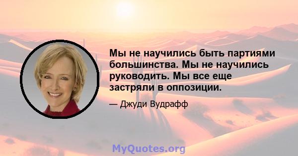 Мы не научились быть партиями большинства. Мы не научились руководить. Мы все еще застряли в оппозиции.