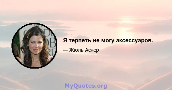 Я терпеть не могу аксессуаров.