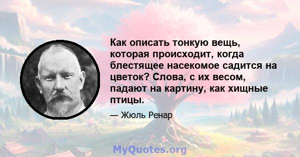 Как описать тонкую вещь, которая происходит, когда блестящее насекомое садится на цветок? Слова, с их весом, падают на картину, как хищные птицы.