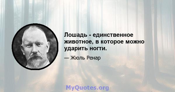 Лошадь - единственное животное, в которое можно ударить ногти.