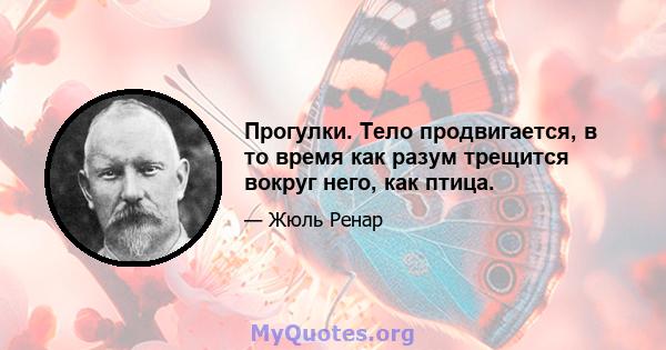 Прогулки. Тело продвигается, в то время как разум трещится вокруг него, как птица.