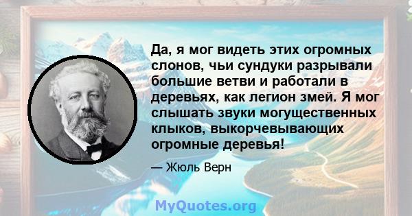 Да, я мог видеть этих огромных слонов, чьи сундуки разрывали большие ветви и работали в деревьях, как легион змей. Я мог слышать звуки могущественных клыков, выкорчевывающих огромные деревья!