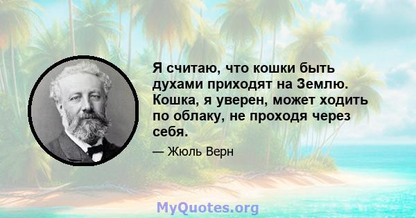 Я считаю, что кошки быть духами приходят на Землю. Кошка, я уверен, может ходить по облаку, не проходя через себя.