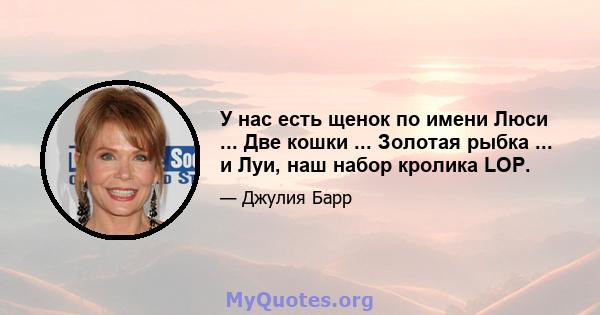 У нас есть щенок по имени Люси ... Две кошки ... Золотая рыбка ... и Луи, наш набор кролика LOP.