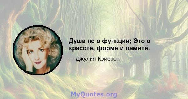 Душа не о функции; Это о красоте, форме и памяти.