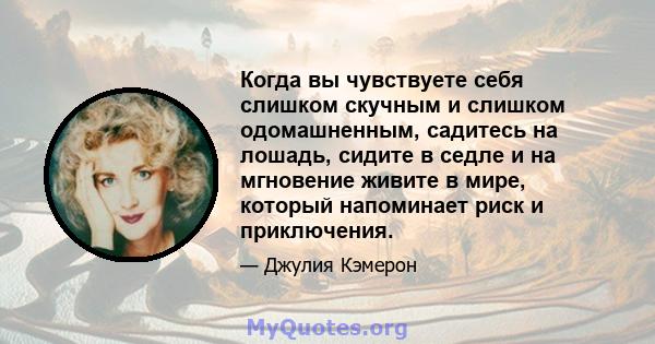 Когда вы чувствуете себя слишком скучным и слишком одомашненным, садитесь на лошадь, сидите в седле и на мгновение живите в мире, который напоминает риск и приключения.