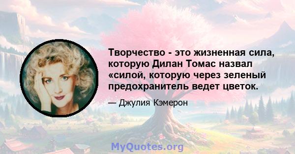 Творчество - это жизненная сила, которую Дилан Томас назвал «силой, которую через зеленый предохранитель ведет цветок.