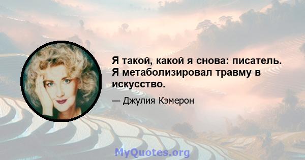 Я такой, какой я снова: писатель. Я метаболизировал травму в искусство.