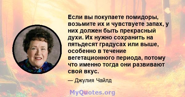 Если вы покупаете помидоры, возьмите их и чувствуете запах, у них должен быть прекрасный духи. Их нужно сохранить на пятьдесят градусах или выше, особенно в течение вегетационного периода, потому что именно тогда они