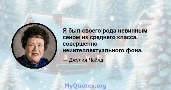 Я был своего рода невинным сеном из среднего класса, совершенно неинтеллектуального фона.