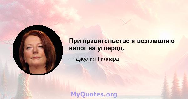 При правительстве я возглавляю налог на углерод.