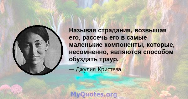 Называя страдания, возвышая его, рассечь его в самые маленькие компоненты, которые, несомненно, являются способом обуздать траур.