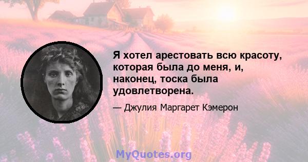 Я хотел арестовать всю красоту, которая была до меня, и, наконец, тоска была удовлетворена.