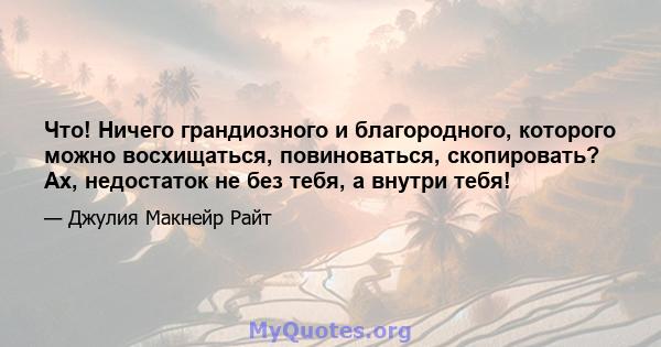 Что! Ничего грандиозного и благородного, которого можно восхищаться, повиноваться, скопировать? Ах, недостаток не без тебя, а внутри тебя!