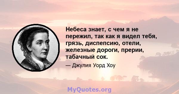 Небеса знает, с чем я не пережил, так как я видел тебя, грязь, диспепсию, отели, железные дороги, прерии, табачный сок.