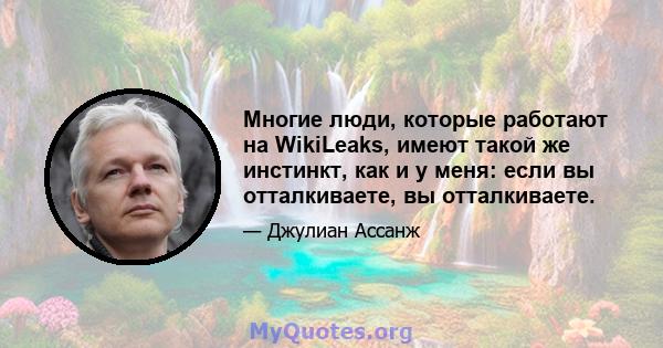 Многие люди, которые работают на WikiLeaks, имеют такой же инстинкт, как и у меня: если вы отталкиваете, вы отталкиваете.