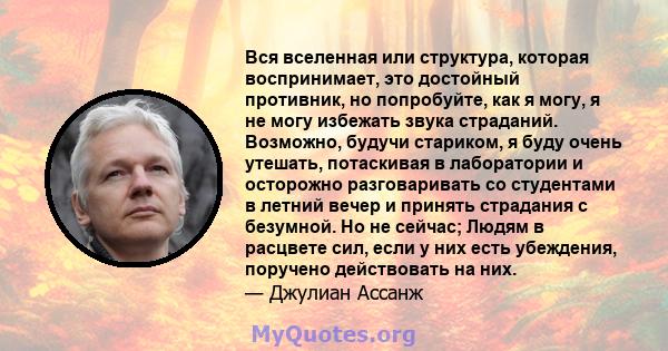 Вся вселенная или структура, которая воспринимает, это достойный противник, но попробуйте, как я могу, я не могу избежать звука страданий. Возможно, будучи стариком, я буду очень утешать, потаскивая в лаборатории и