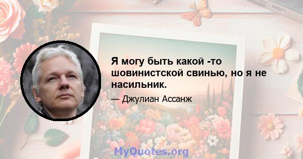 Я могу быть какой -то шовинистской свинью, но я не насильник.