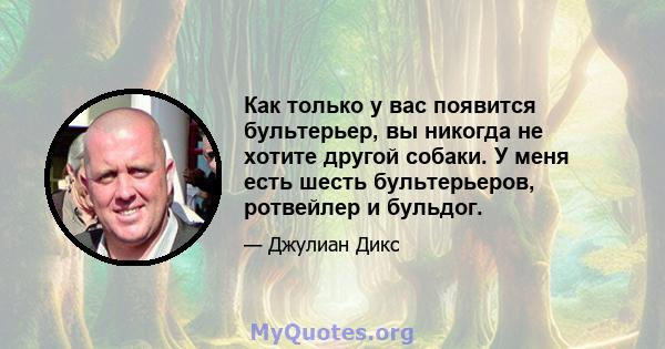 Как только у вас появится бультерьер, вы никогда не хотите другой собаки. У меня есть шесть бультерьеров, ротвейлер и бульдог.