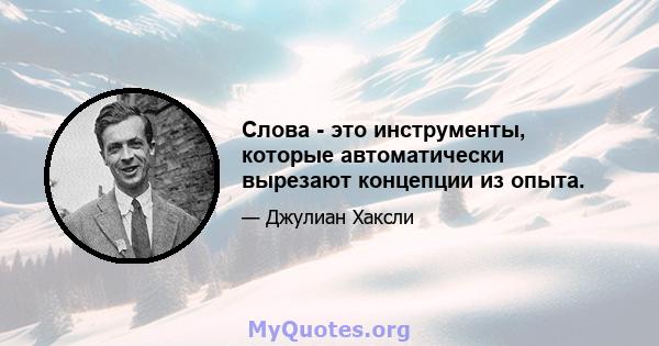 Слова - это инструменты, которые автоматически вырезают концепции из опыта.