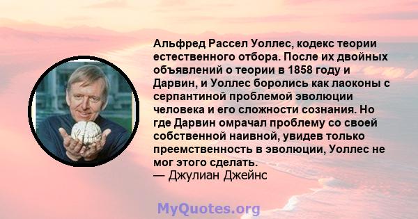 Альфред Рассел Уоллес, кодекс теории естественного отбора. После их двойных объявлений о теории в 1858 году и Дарвин, и Уоллес боролись как лаоконы с серпантиной проблемой эволюции человека и его сложности сознания. Но