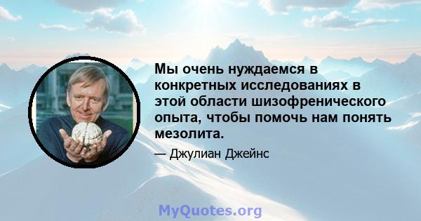 Мы очень нуждаемся в конкретных исследованиях в этой области шизофренического опыта, чтобы помочь нам понять мезолита.