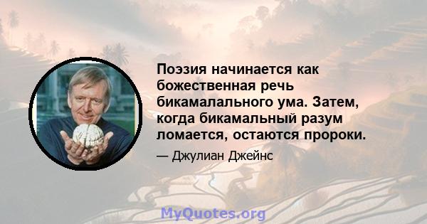 Поэзия начинается как божественная речь бикамалального ума. Затем, когда бикамальный разум ломается, остаются пророки.