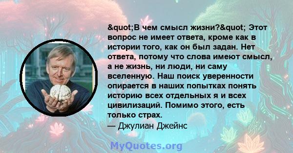 "В чем смысл жизни?" Этот вопрос не имеет ответа, кроме как в истории того, как он был задан. Нет ответа, потому что слова имеют смысл, а не жизнь, ни люди, ни саму вселенную. Наш поиск уверенности опирается в 