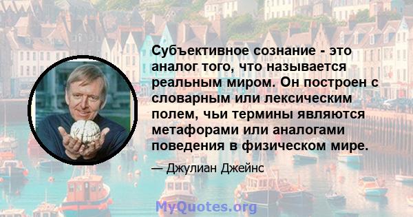 Субъективное сознание - это аналог того, что называется реальным миром. Он построен с словарным или лексическим полем, чьи термины являются метафорами или аналогами поведения в физическом мире.