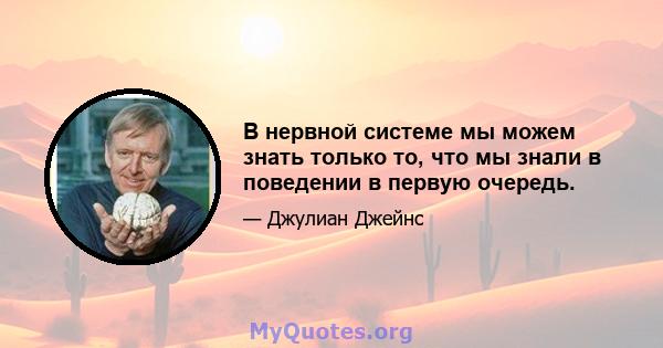 В нервной системе мы можем знать только то, что мы знали в поведении в первую очередь.