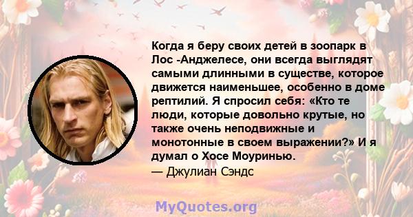 Когда я беру своих детей в зоопарк в Лос -Анджелесе, они всегда выглядят самыми длинными в существе, которое движется наименьшее, особенно в доме рептилий. Я спросил себя: «Кто те люди, которые довольно крутые, но также 